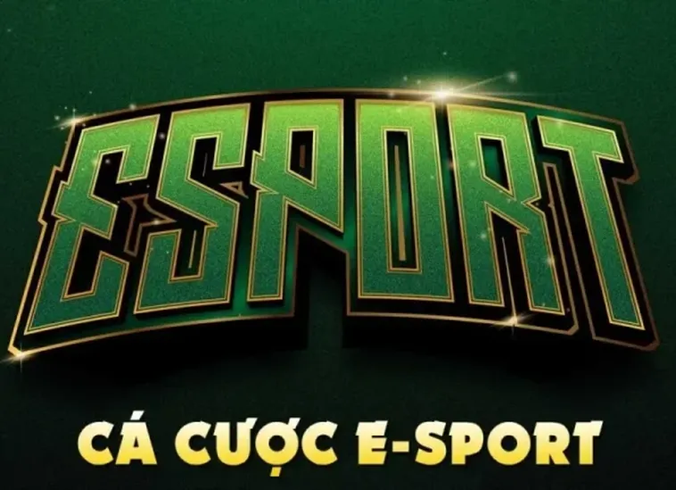 Hướng Dẫn Chơi Thể Thao Điện Tử Tại VINBET Cập Nhật 2025 5 Hướng Dẫn Chơi Thể Thao Điện Tử Tại VINBET Cập Nhật 2025